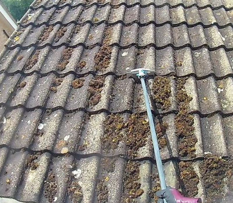 Roof Cleaning & Maintenance In Hinckley