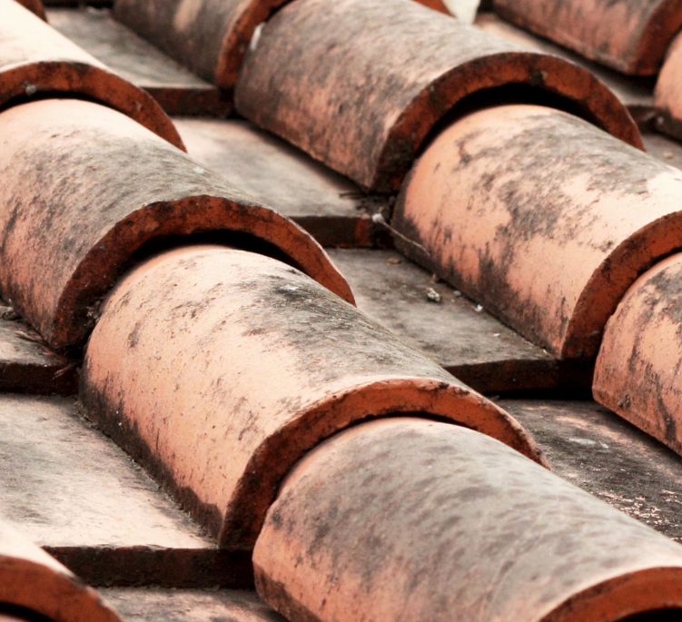 Accurate Roof Assessment Before Repairs