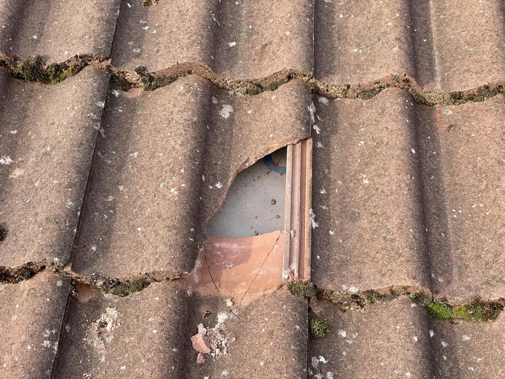 Home 14 Signs Your Roof May Need Attention